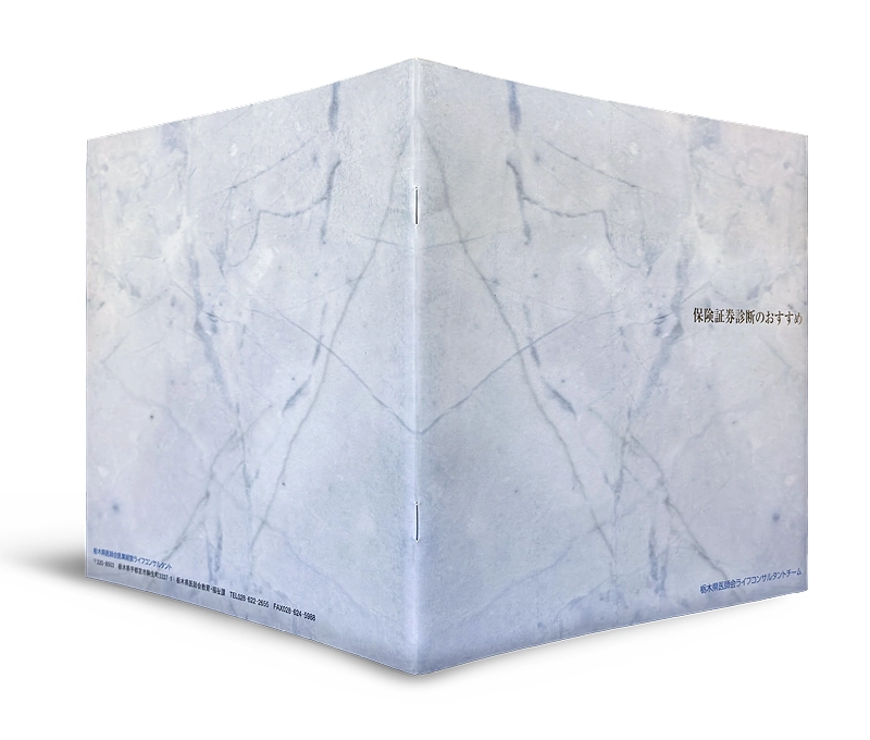insurance brochure
